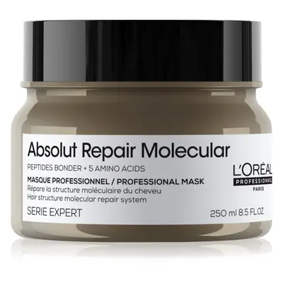 Loreal Absolut Repair Molecular Mask 250 ml
