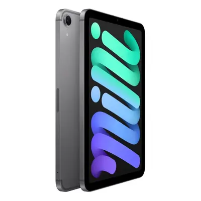 Apple iPad mini A17 Pro Wi-Fi + Cellular - Tablet - 128 GB - 8.3 IPS (2266 x 1488) - 3G, 4G, 5G - space grey
