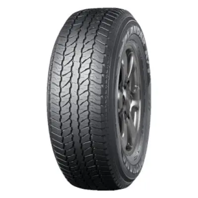 Geolandar A/T (G31C)