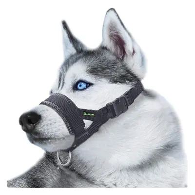 Næseparti til hunde L